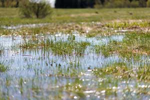 flooded lawn leading to a cancelled special event