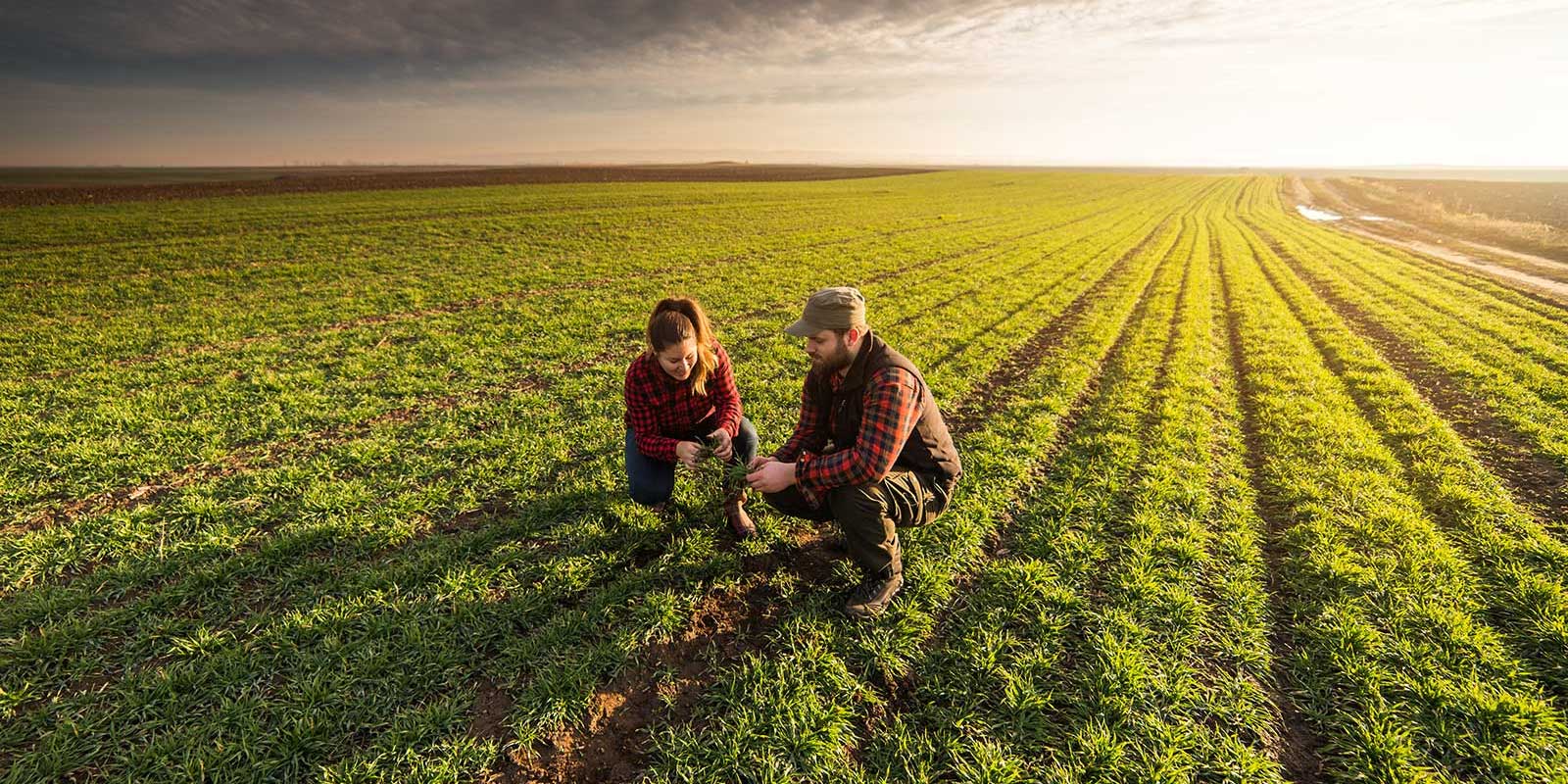 Farmers who are protected by farm and ranch insurance
