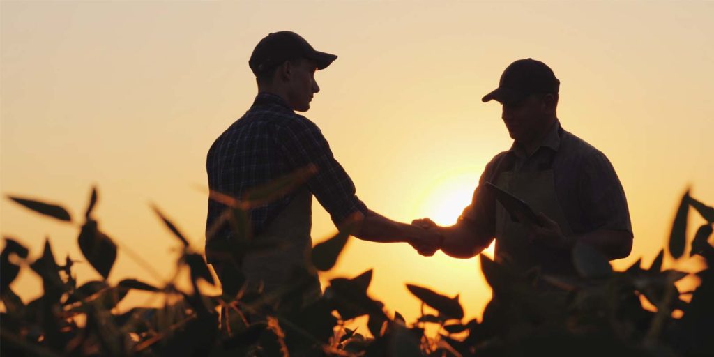 Farmers shaking hands in a cornfield