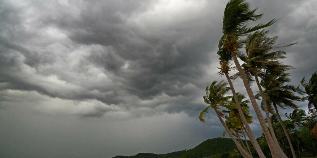 palm at hurricane star beach where owners wondering "does flood insurance cover hurricanes"