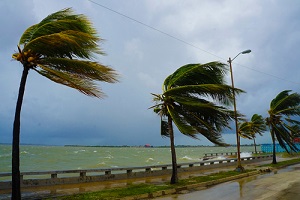site town in during hurricane where owners wonder 