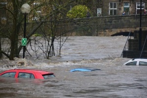cars drowned in flood finding out flood insurance for commercial property