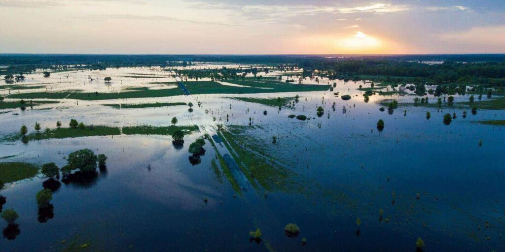 flooded country road and flooded meadow