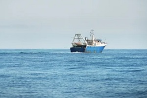 commercial boat in ocean
