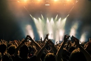 people enjoying in concert