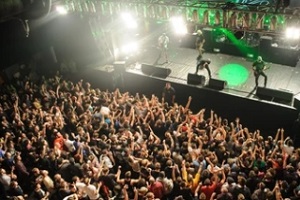 people gathered in concert