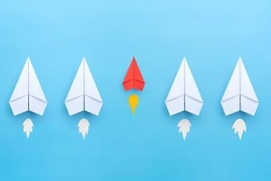 selecting niche concept