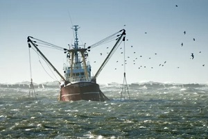 commercial fishing boat in ocean