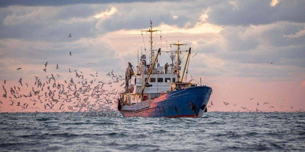 return of the fishing seiner after the catch