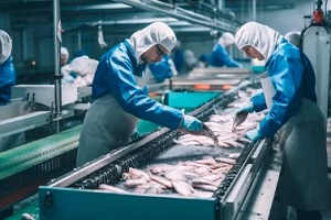 people cleaning fish in farm
