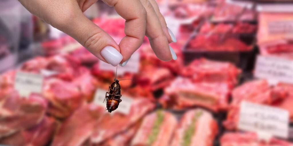 hand holding dead cockroach in meat department inside grocery market