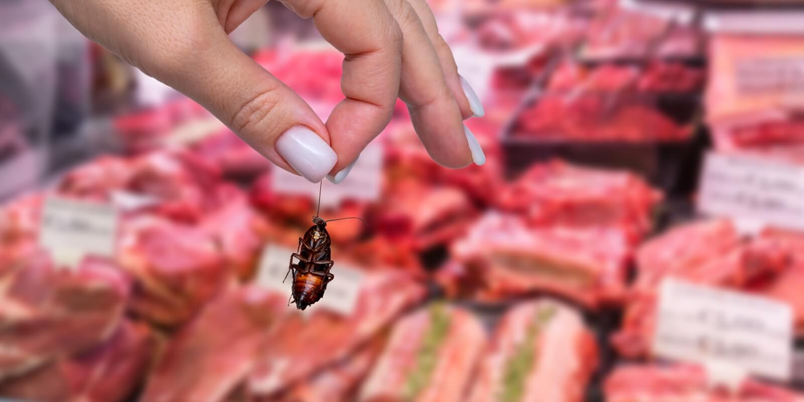 hand holding dead cockroach in meat department inside grocery market