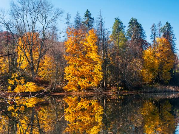 A lake within Tarrywile State park in Danbury Connecticut on a sunny autumn day.
