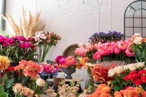 beautiful flowers at the florist shop