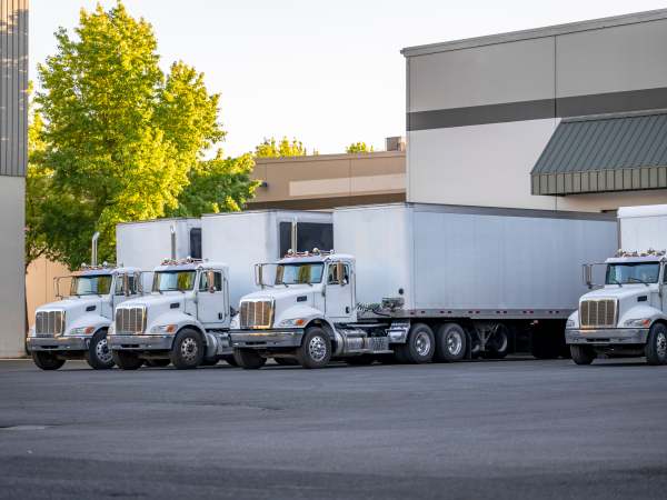Local haul middle duty professional white big rigs semi trucks tractors with box trailers waiting for the next load standing in row on the warehouse industrial parking lot with green trees