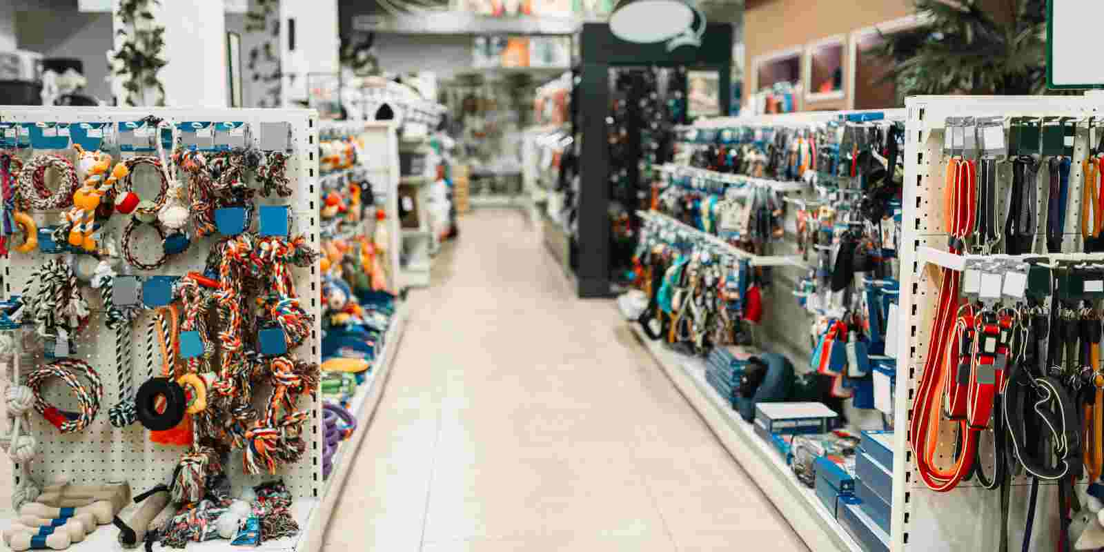 6 Features to Look for in a Pet Shop Insurance Policy