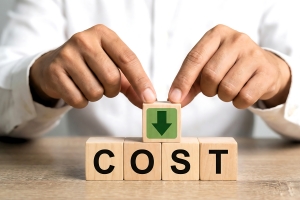 Person Showing Cost Reduction Concept with Wooden Blocks