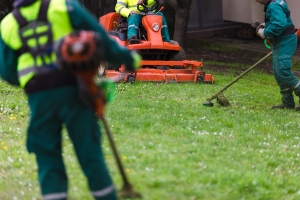 Seasonal Landscaping Crew Working with Lawn Equipment